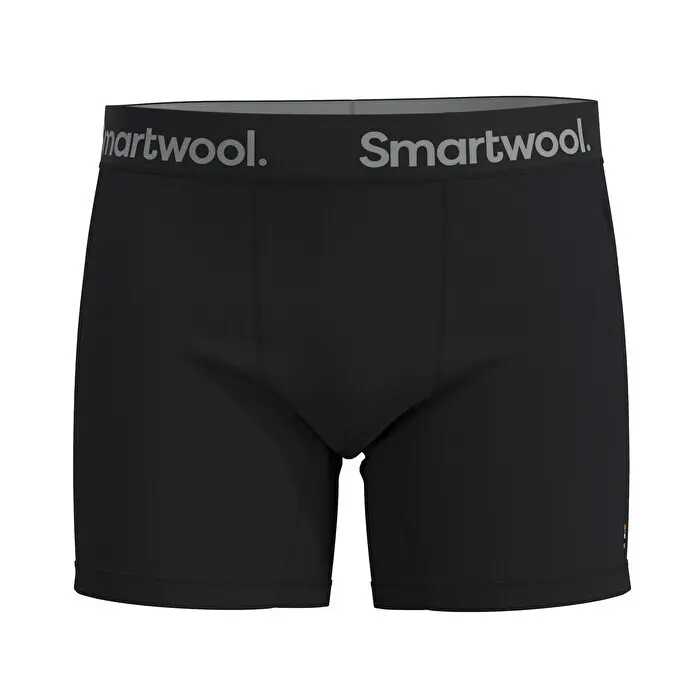 Merinounterhosen Smartwool Active