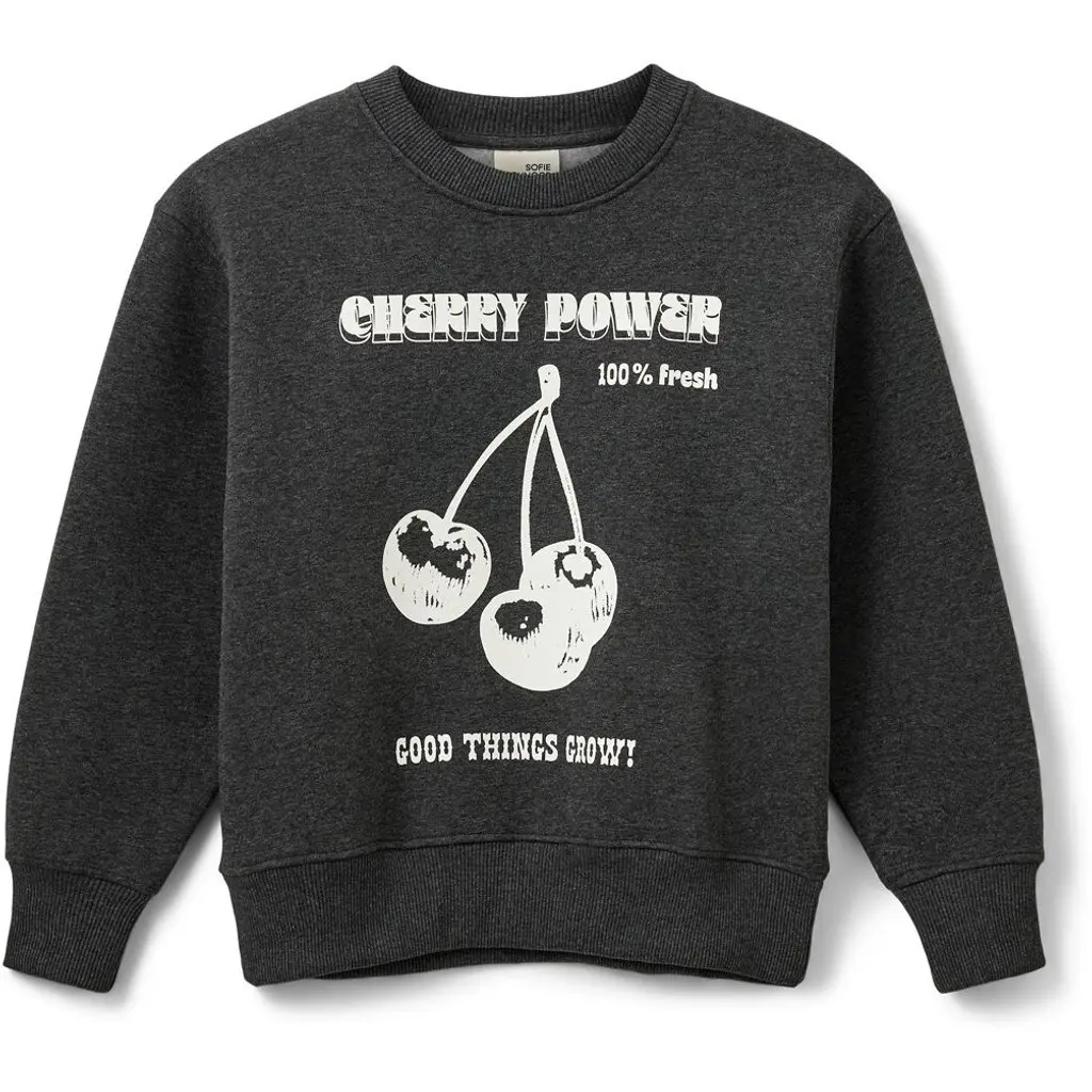 5715202706586 - Pullover Kind Parisy