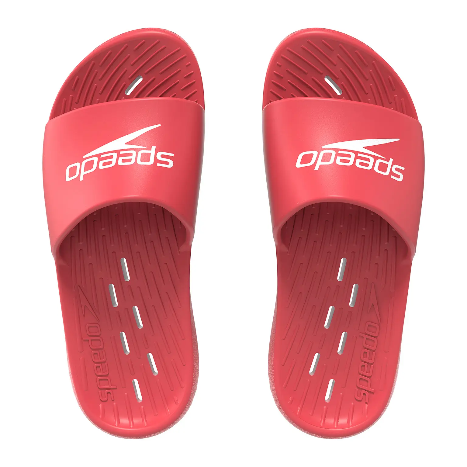 Claquettes Speedo Speedo