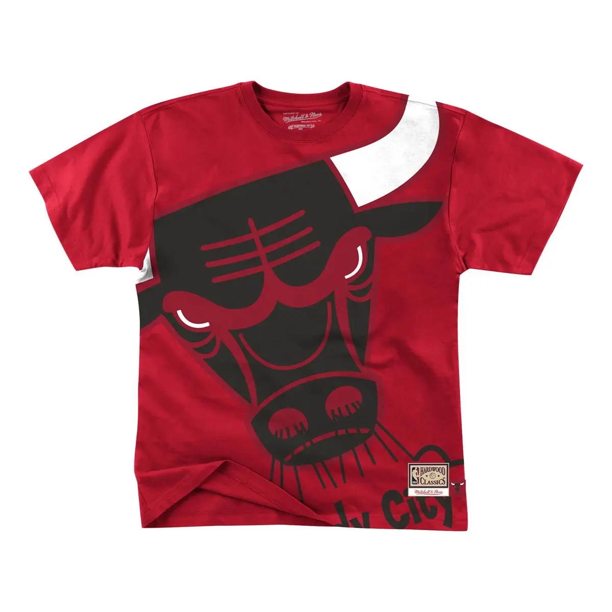 0194582048601 - T-shirt Chicago Bulls big face bulls