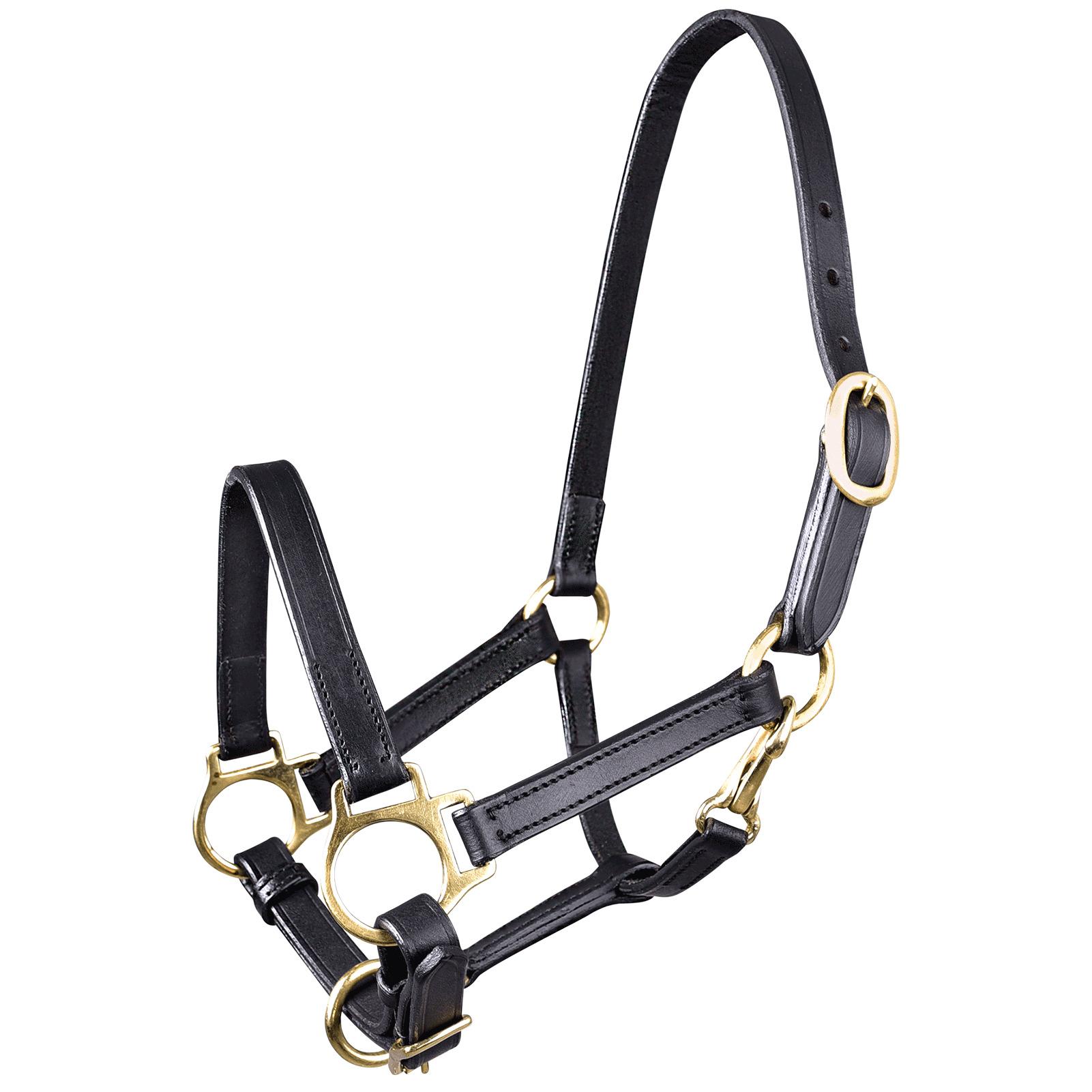 Comparer les prix de Licol pour cheval Star