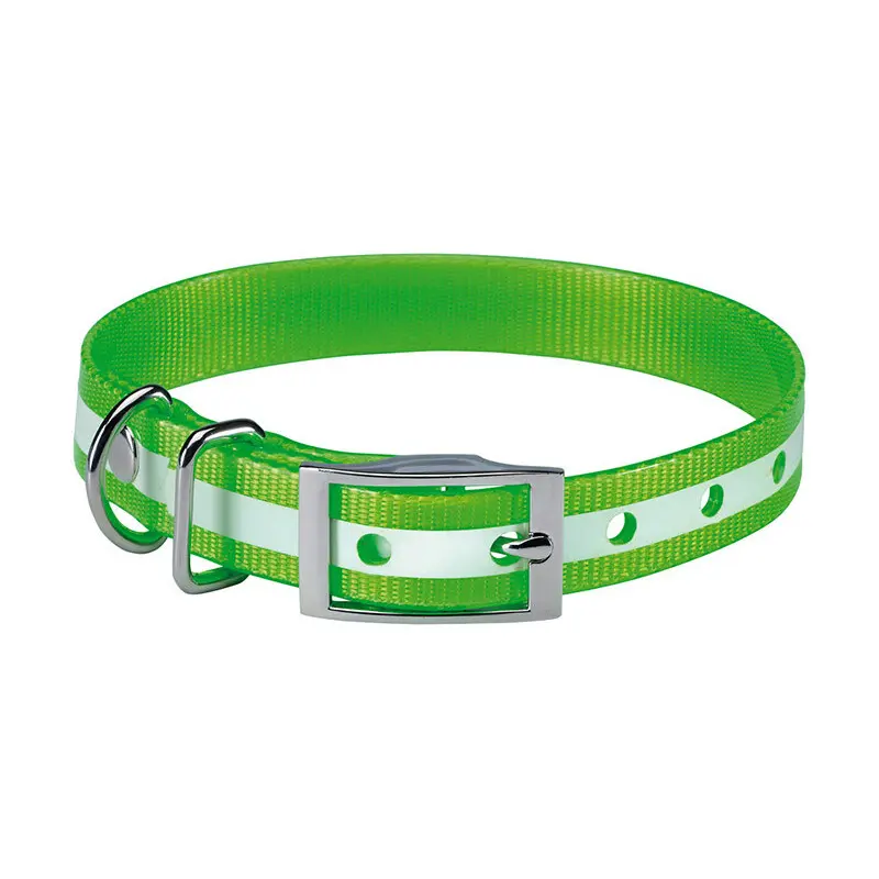 Glow-in-the-dark dog collar Stepland