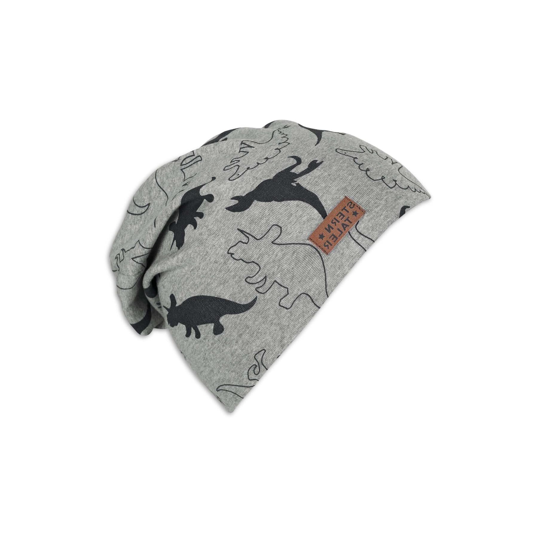 4055579440685 - - Beanie-Mütze DINOS in silber Gr57