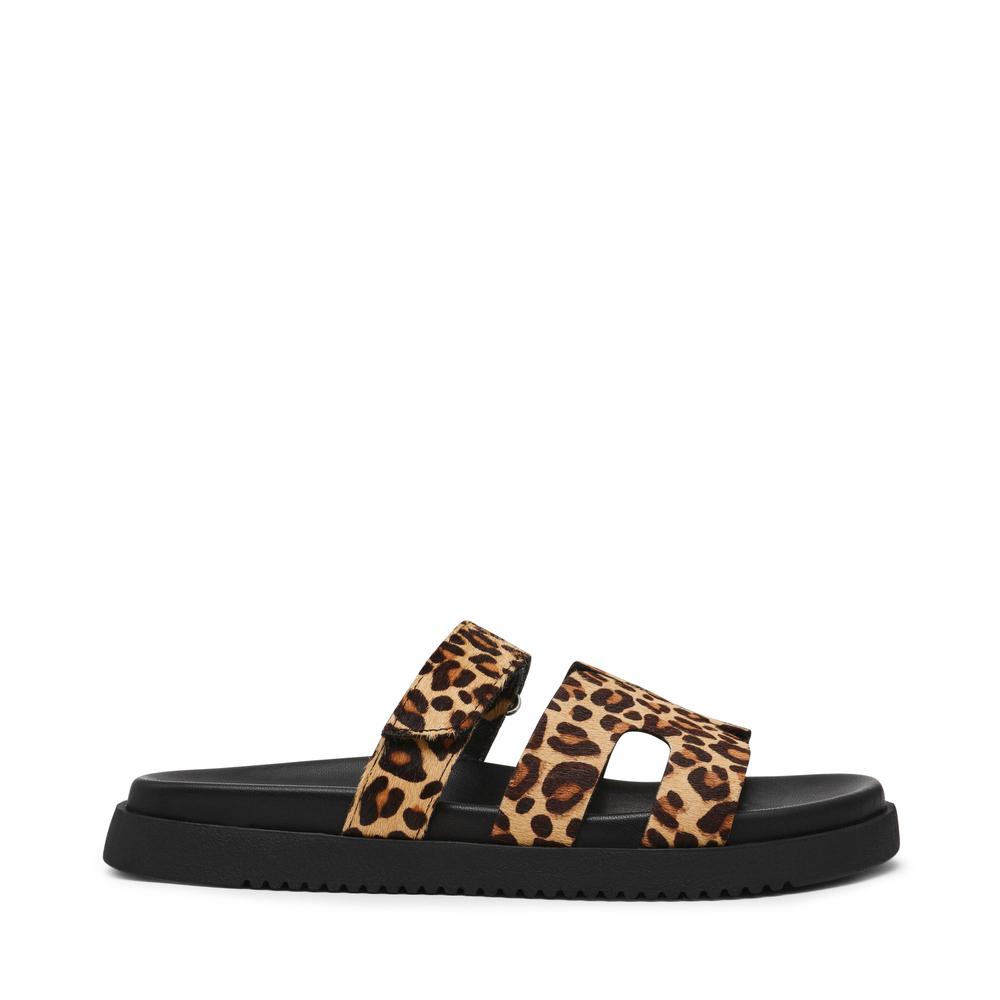 8720857697179 - Slides Missile-LC