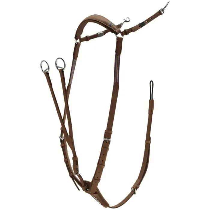 Meilleurs prix pour Collier de chasse pour cheval martingale ouverte Stübben Pro-Jump