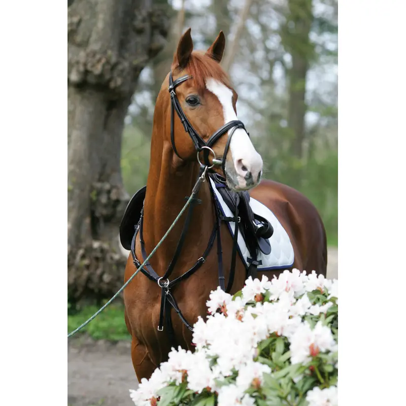 Collier de chasse combiné martingale pour cheval Stübben SideFit