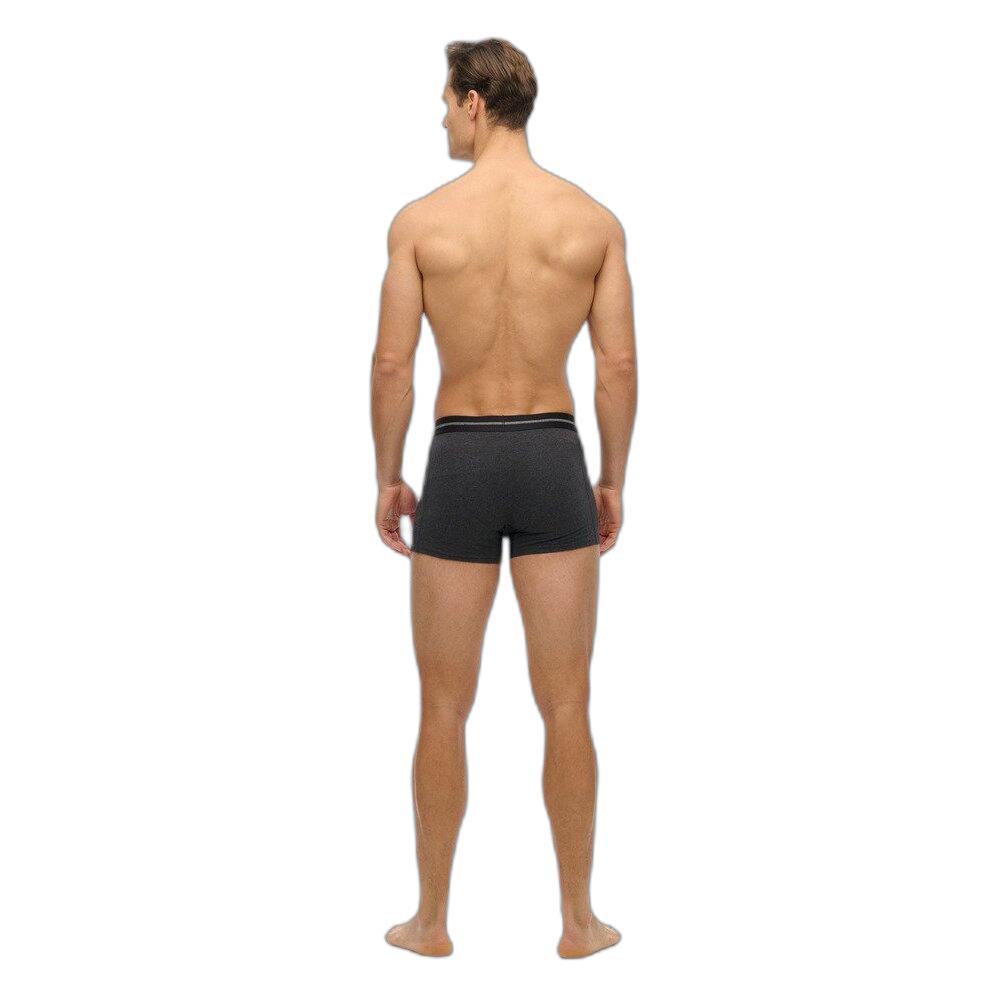 5063068649593 - Boxer (x3)