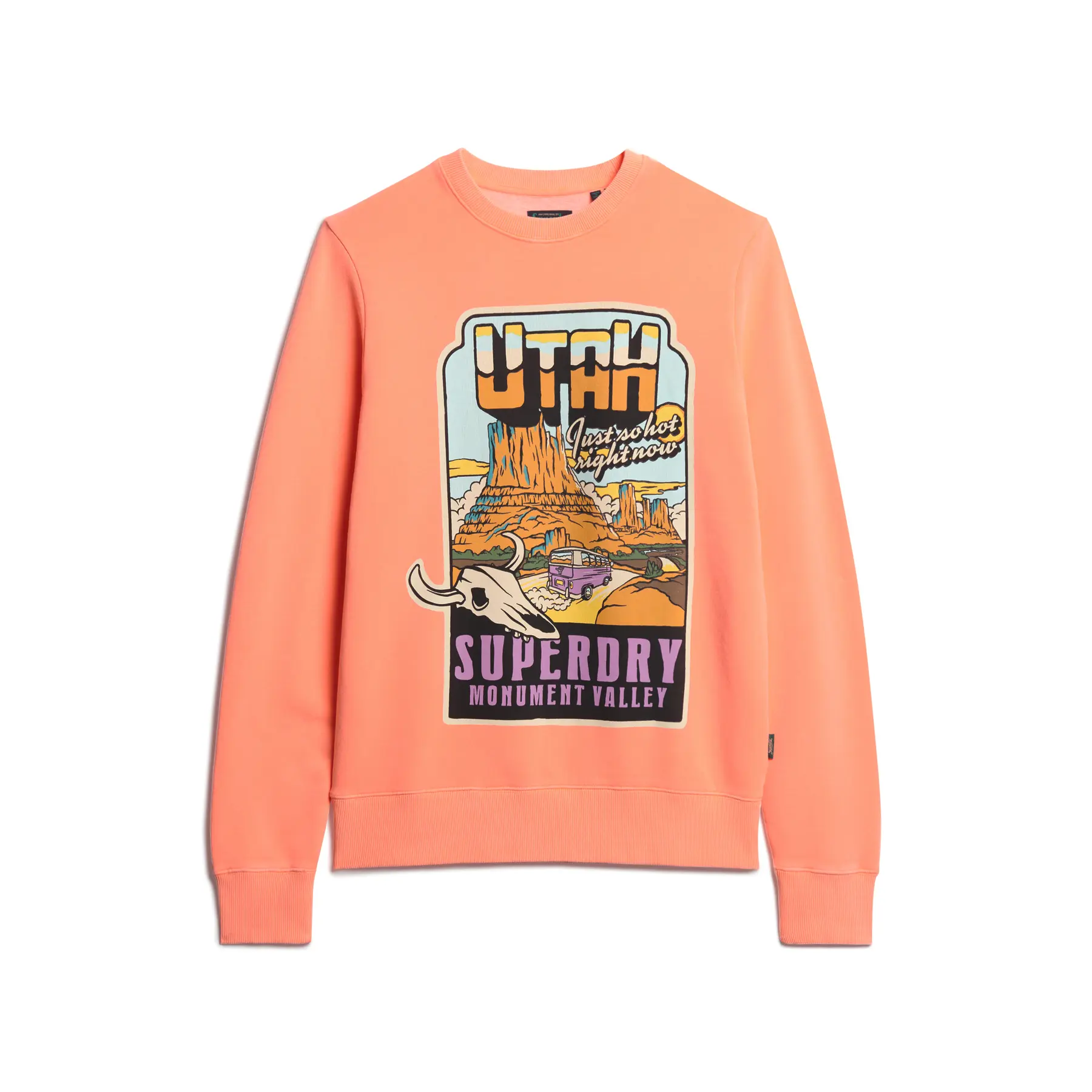 5063068064174 - Weites Sweatshirt in Neonfarben Travel