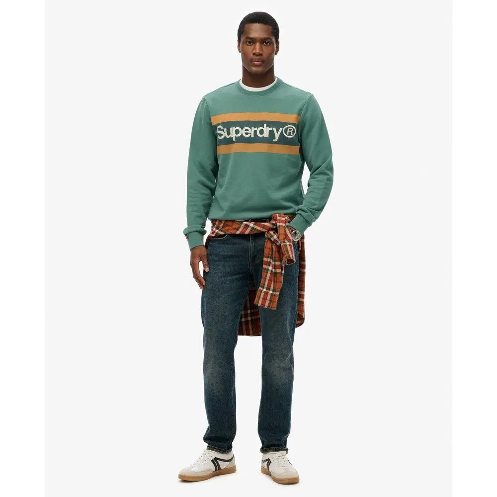 5063068582524 - Gestreifter Freizeitpullover Core Logo