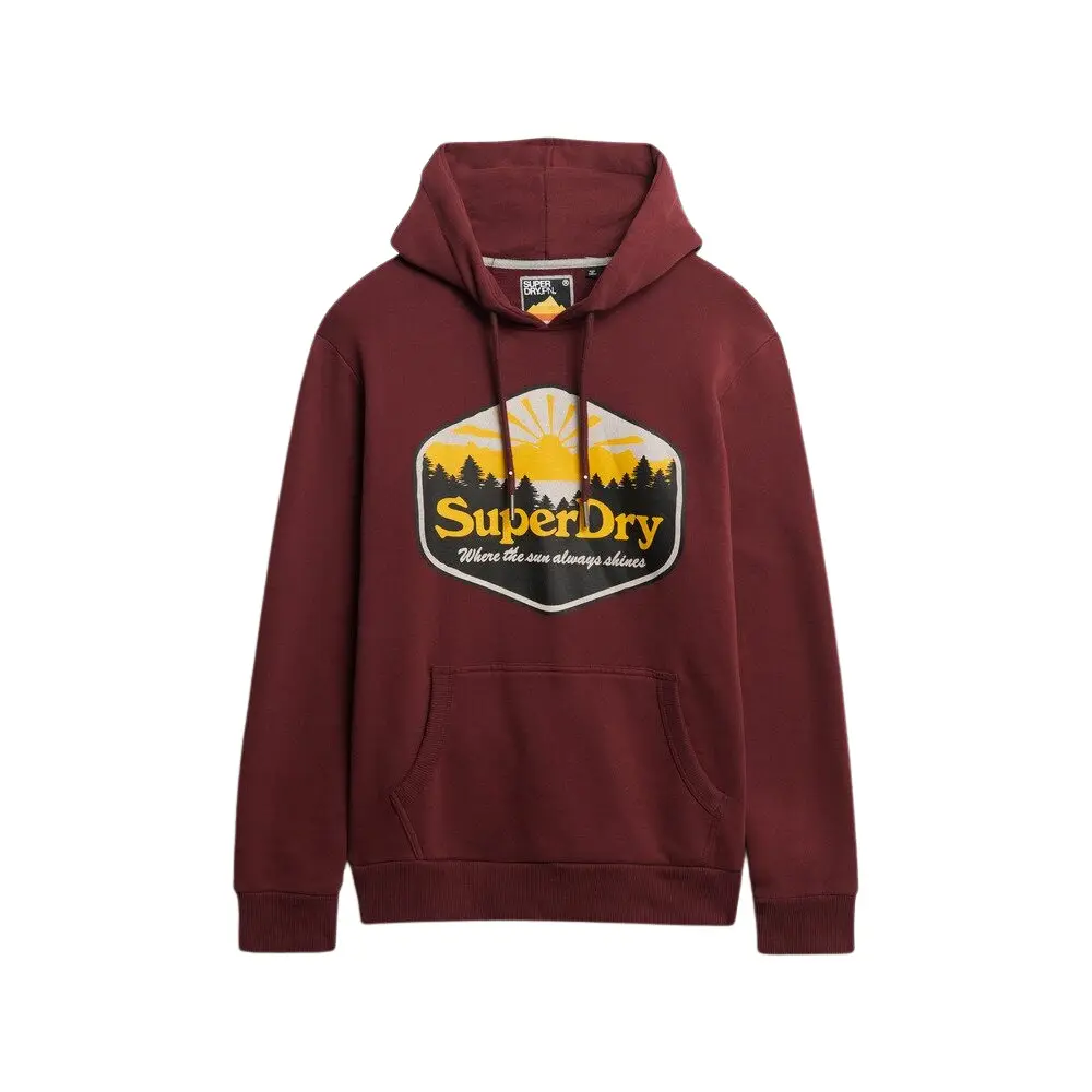 Hooded sweatshirt Superdry Sun Tab