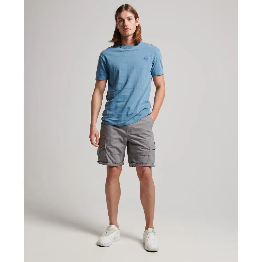 5059726684297 - Herren Heavy Cargo-Shorts aus Bio-Baumwolle Grau - Größe 30