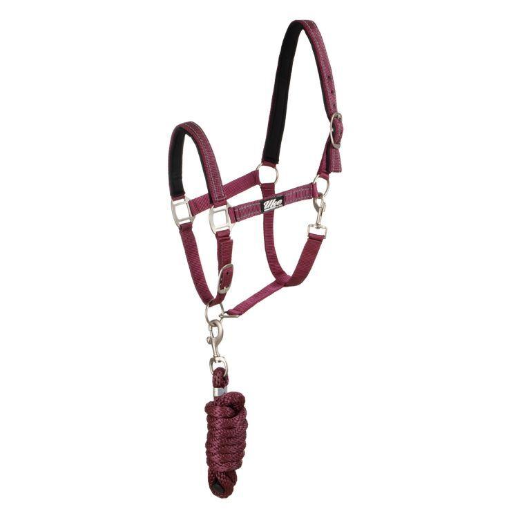 Meilleurs prix pour Ensemble licol et longe pour cheval Supreme Reflective