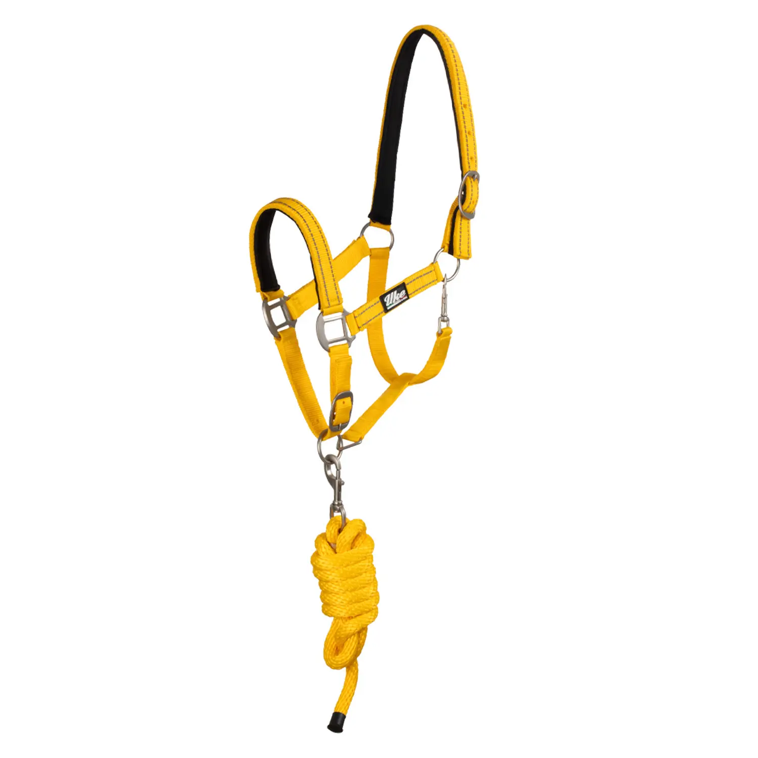 Ensemble licol et longe pour cheval Supreme Reflective