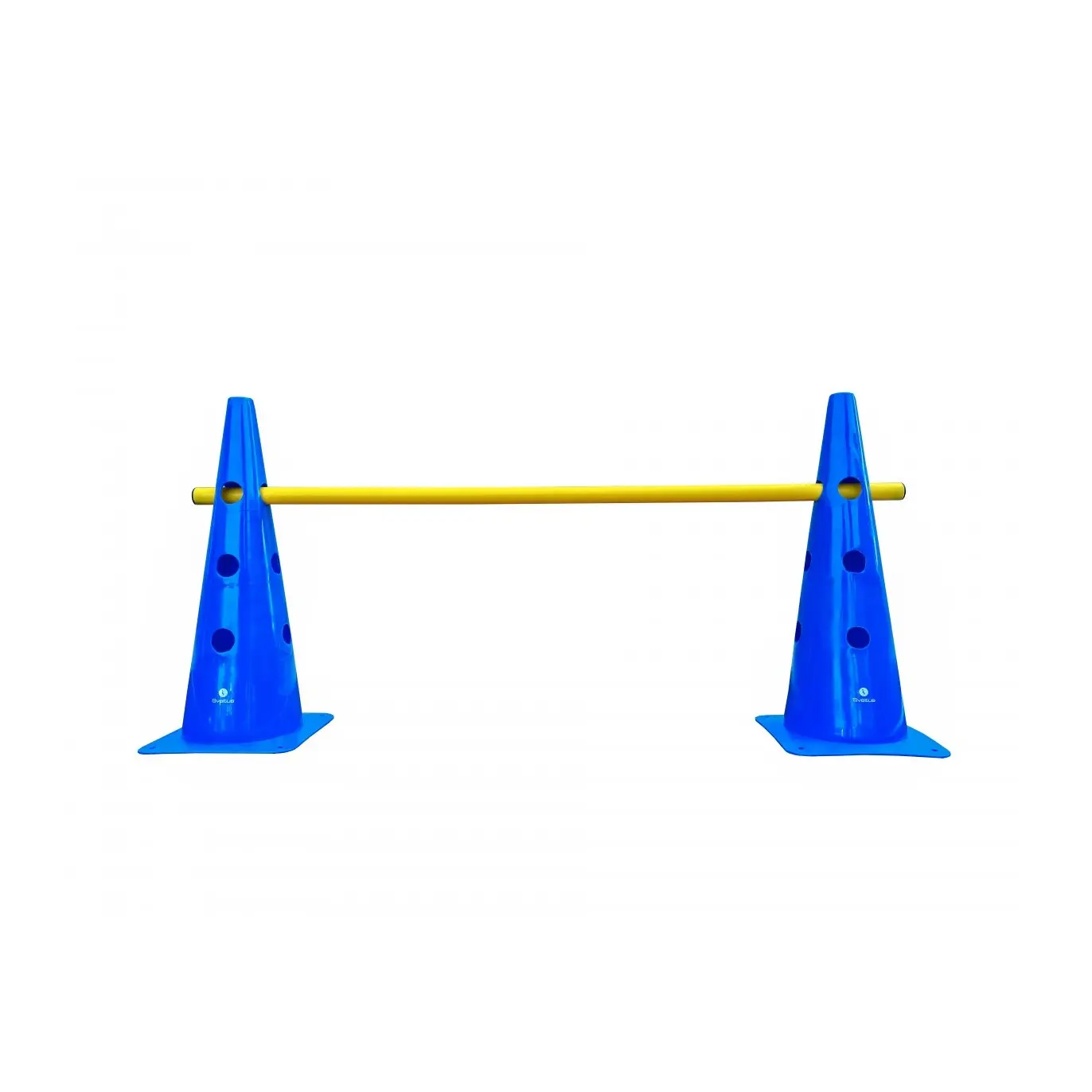 Cônes d'entraînement avec barre Sveltus (x2)
