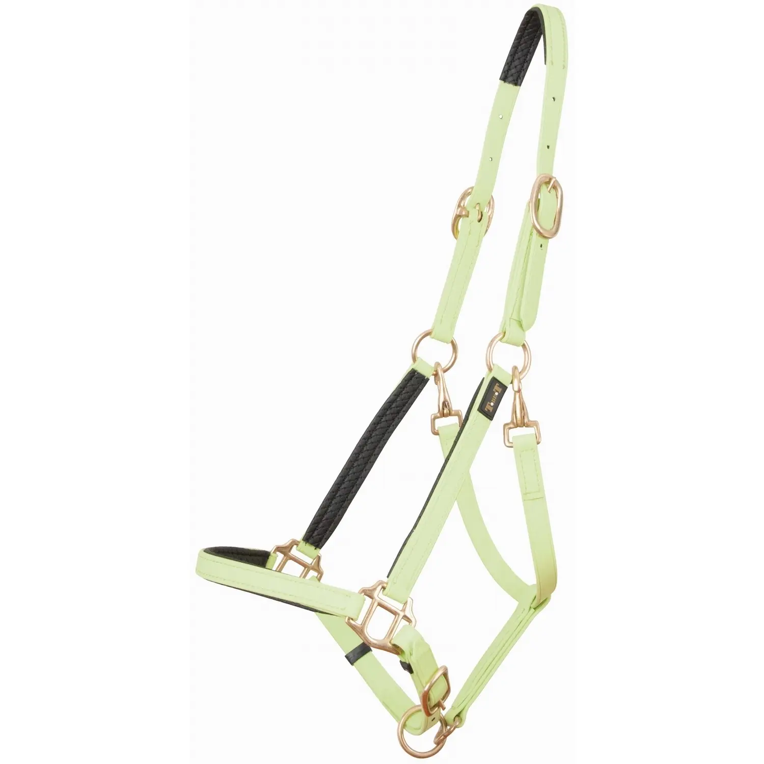 Meilleurs prix pour Licol pour cheval T de T Biotack®