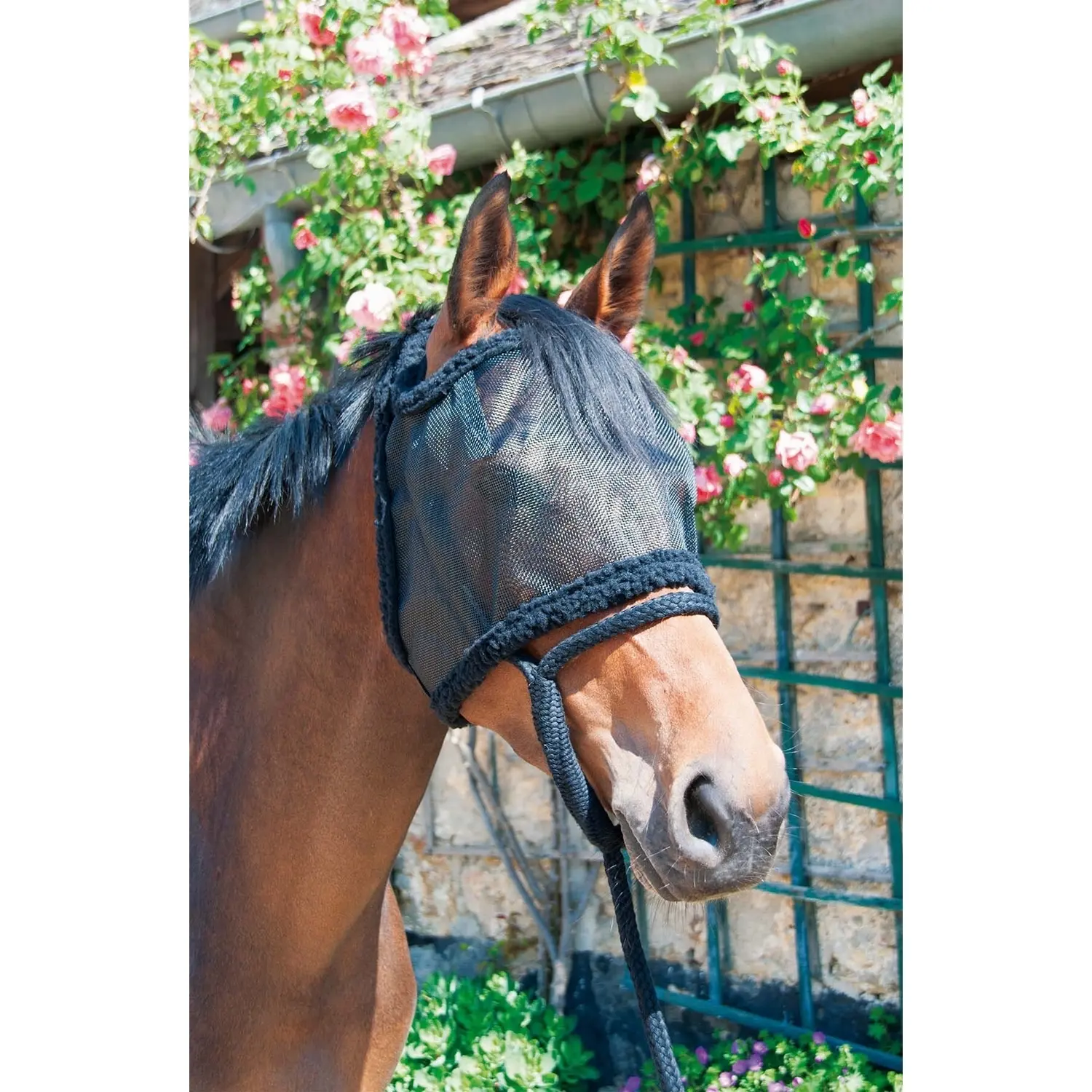 Meilleurs prix pour Bonnet pour cheval de pré sans oreilles T de T