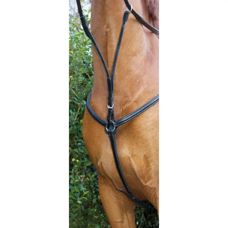 Collier de chasse pour cheval doublé T de T