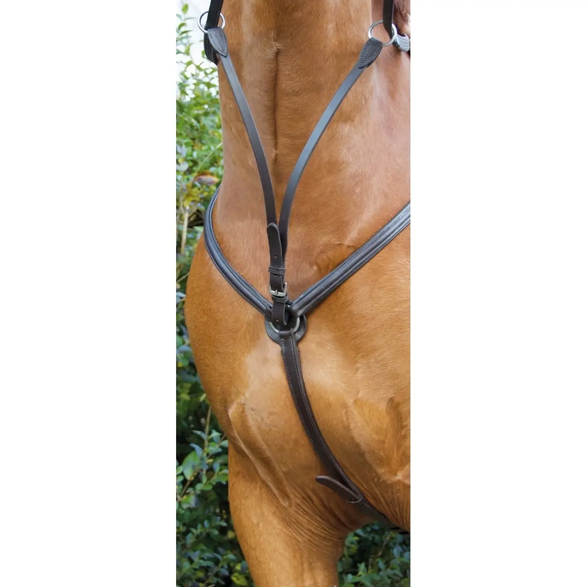 Meilleurs prix pour Collier de chasse pour cheval doublé T de T