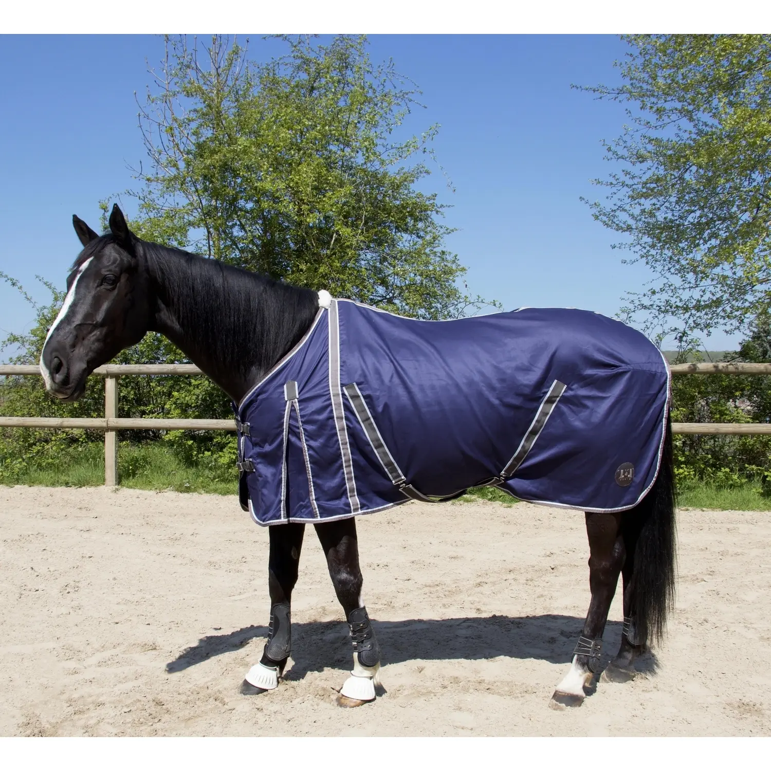 Meilleurs prix pour Chemise pour cheval en coton T de T