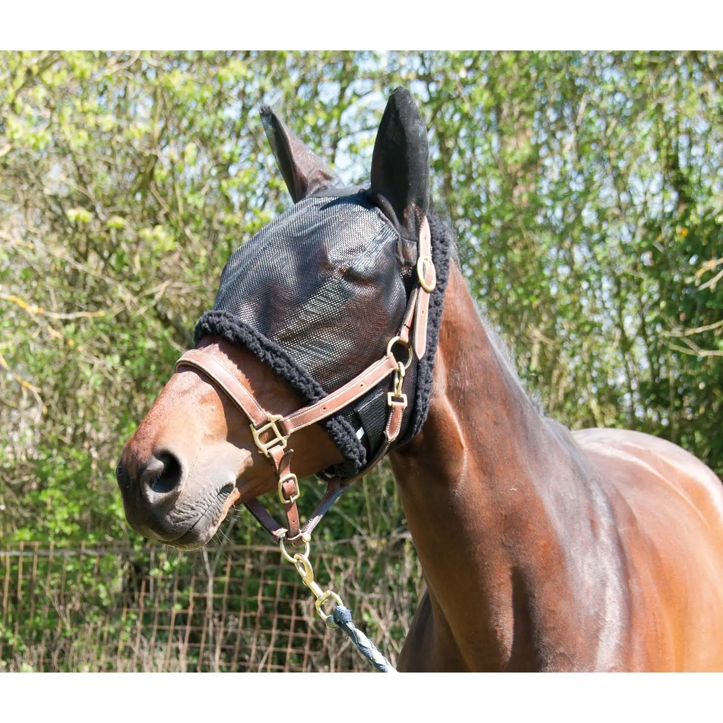 Bonnet pour cheval de pré T de T