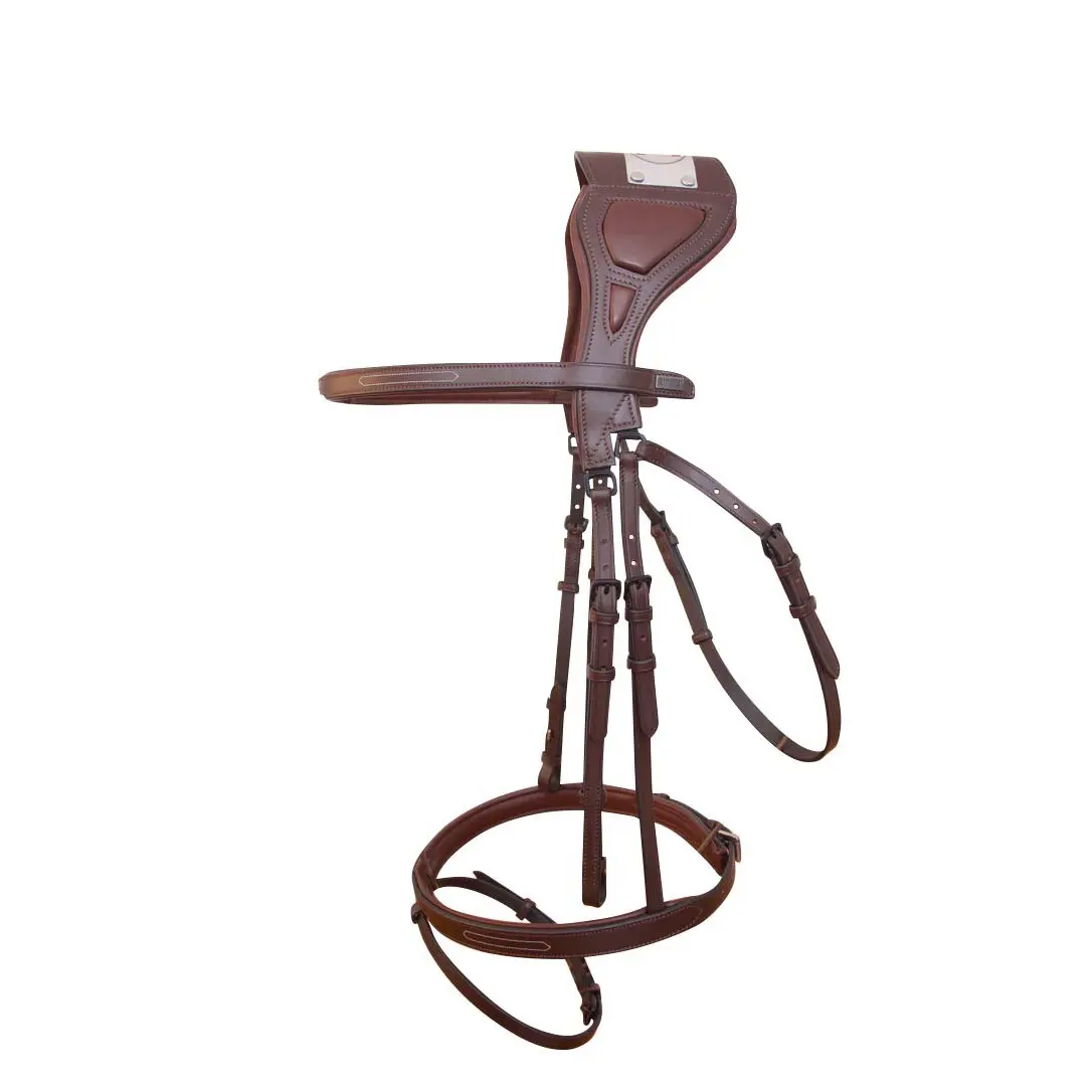 Comparer les prix de Bridons équitation T de T Chagall