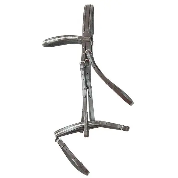 Comparer les prix de Bridons équitation T de T Pissarro