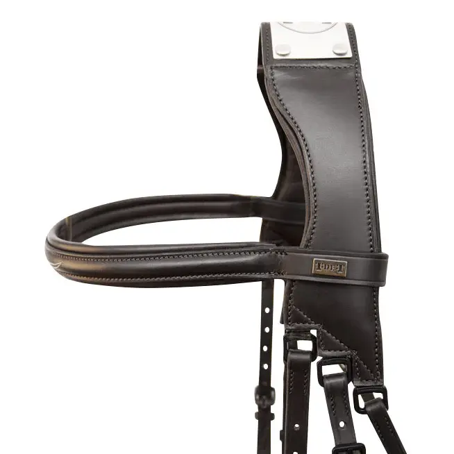 T De T Noir Bridles With Bridge Raphaël