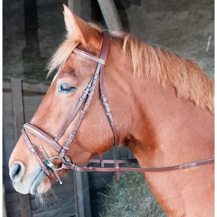 Comparer les prix de Bridons équitation combiné T de T Sisley