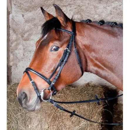 Meilleurs prix pour Bridons équitation T de T Bellini