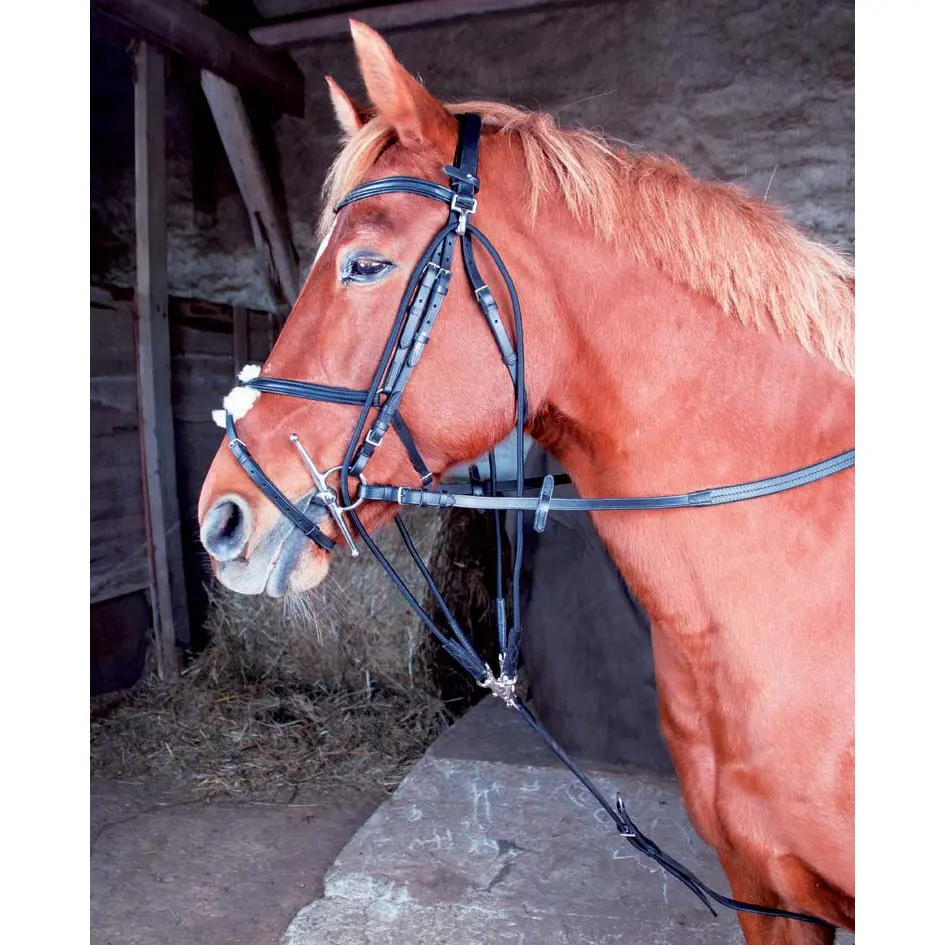 Comparer les prix de Gogue T de T 02