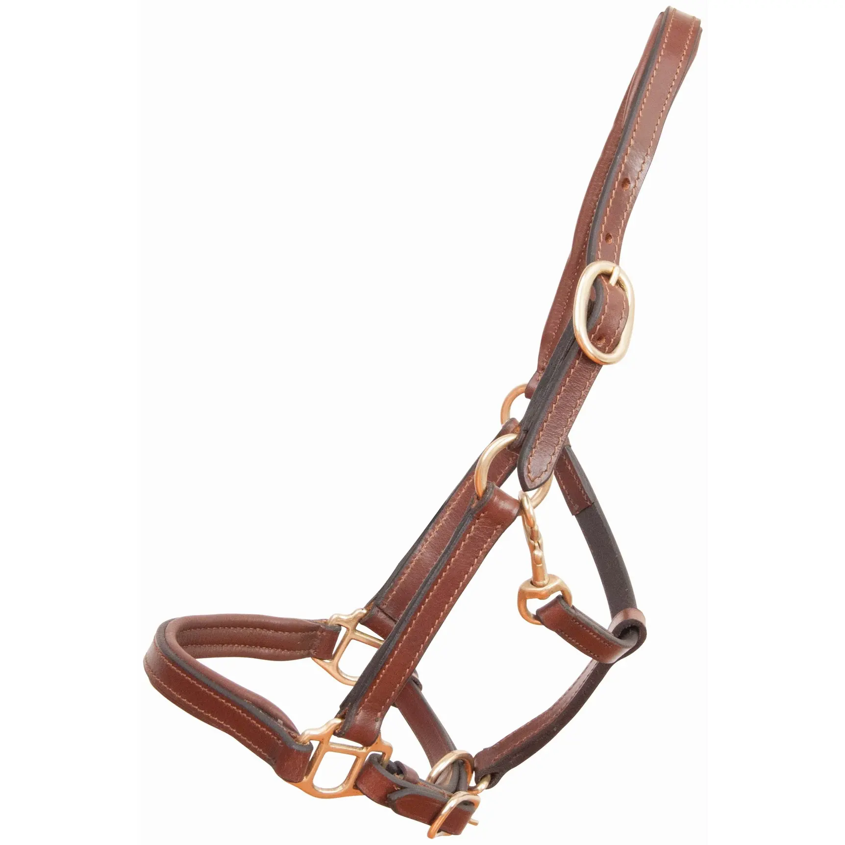 Licol pour cheval en cuir foal ou mini T de T