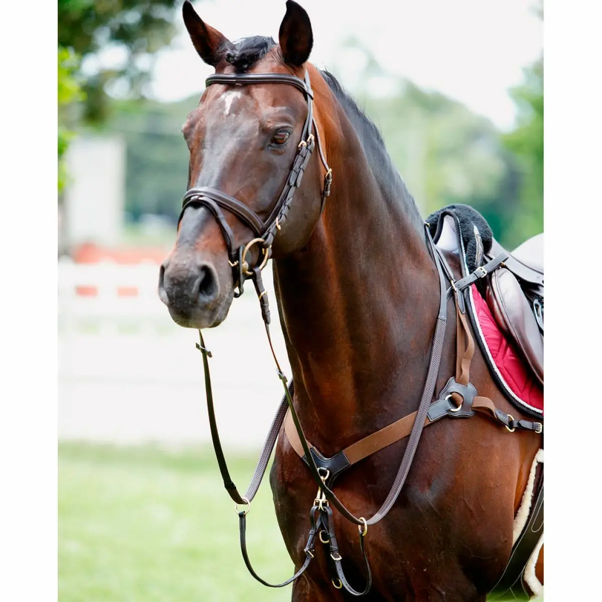 Meilleurs prix pour Collier de chasse pour cheval élastique avec martingale Tattini