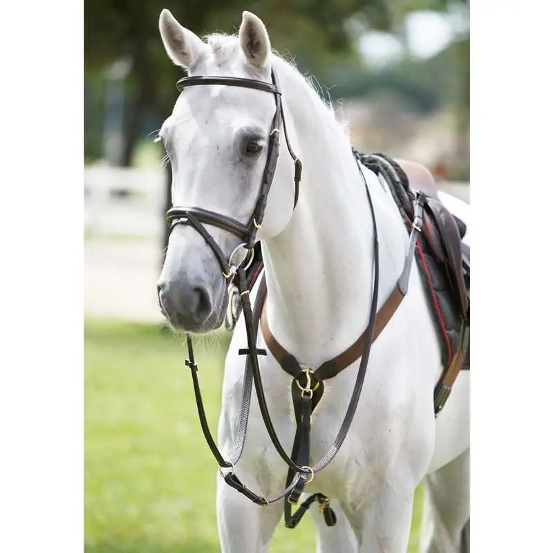 Tattini Noir Elastic Horse Hunting Collar With Martingale