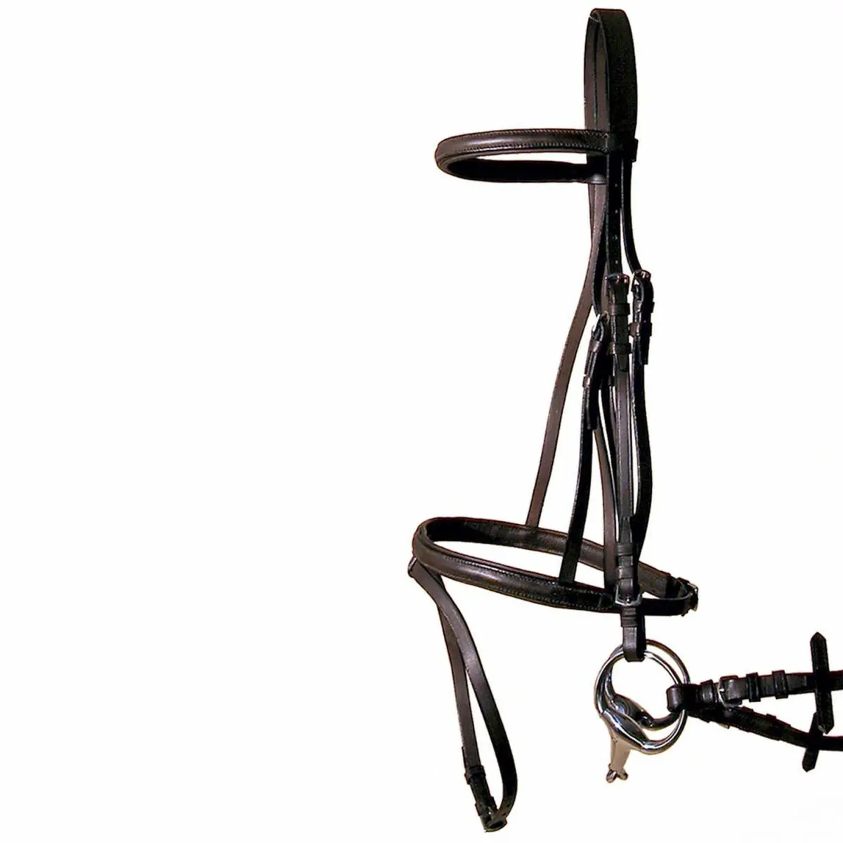 Tattini Marron Gummed Leather Profile Horse Bridles