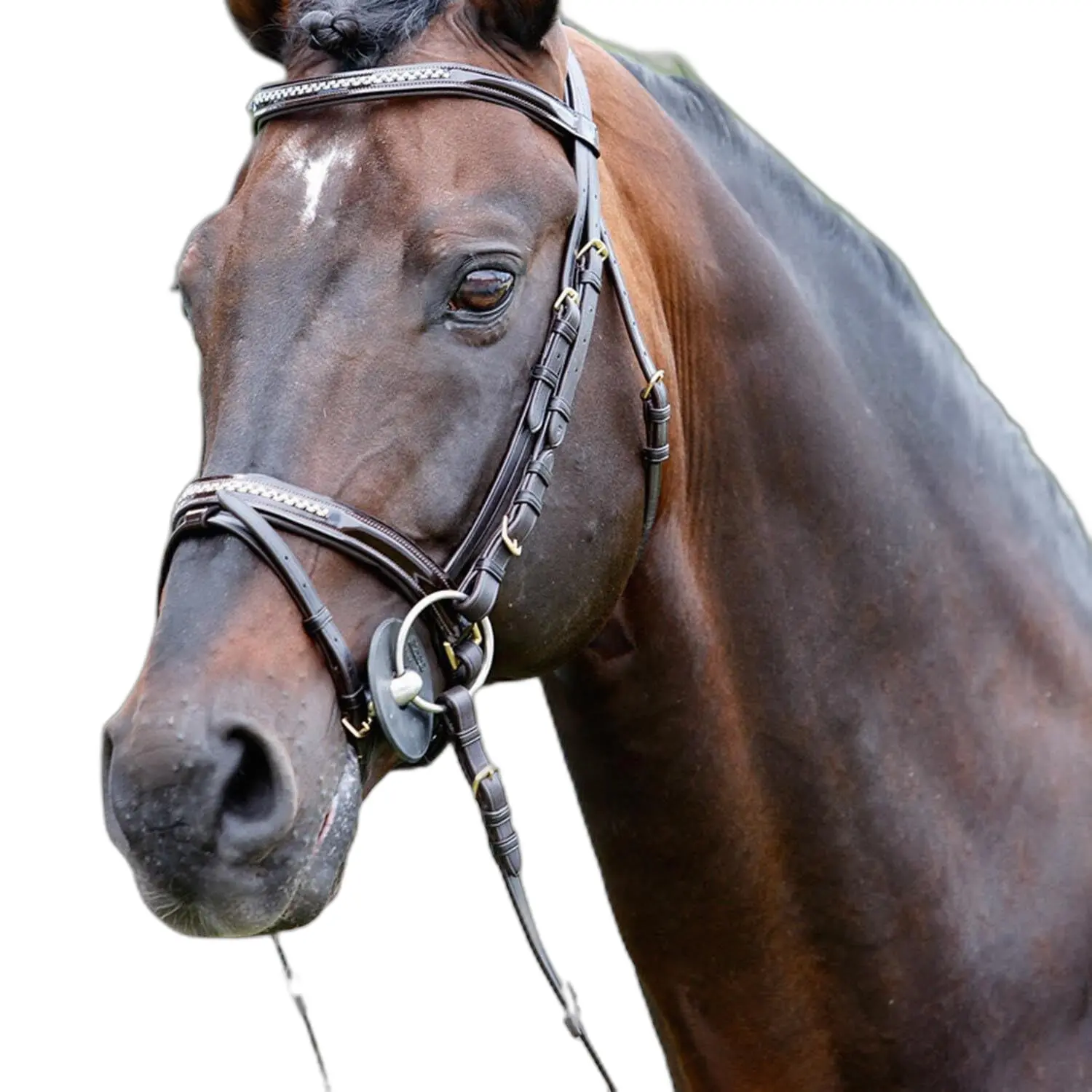 Tattini Noir Headrest - Varnished + Rhinestone Collar