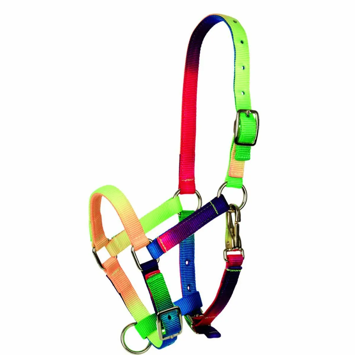 Tattini Multicolore Pony Halter