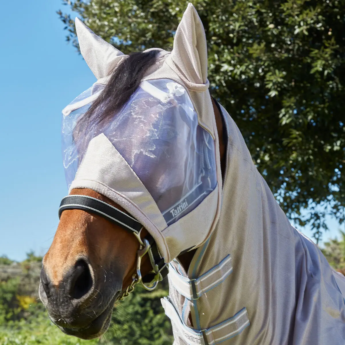 Comparer les prix de Masque anti-mouches pour cheval Tattini Resille