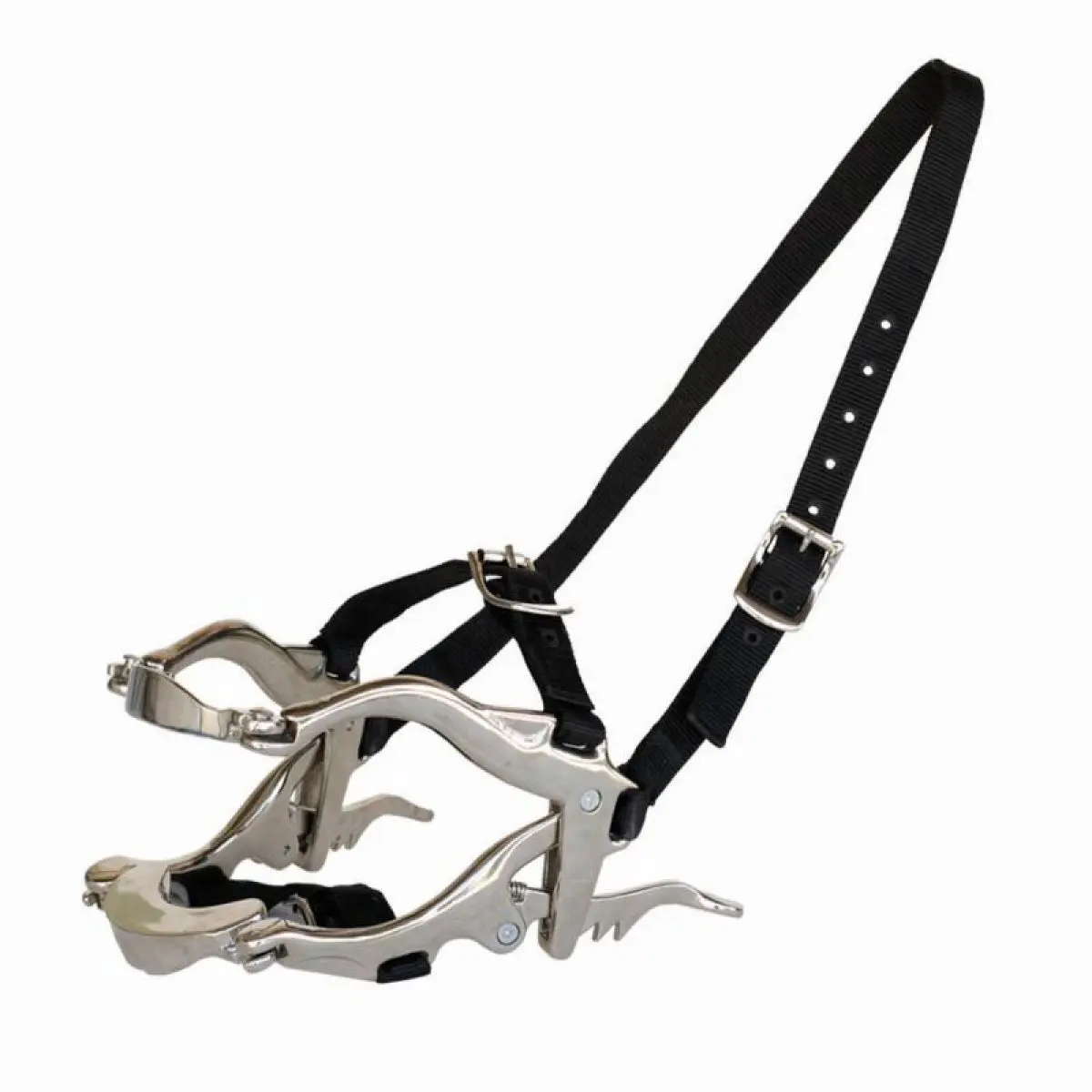 Comparer les prix de Ouvre-bouche pour cheval Tattini Con testiera