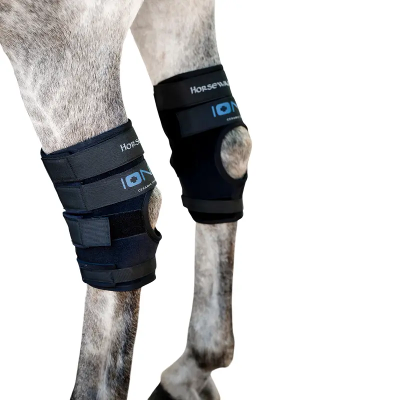 Guêtres fermées pour cheval Horseware Ionic