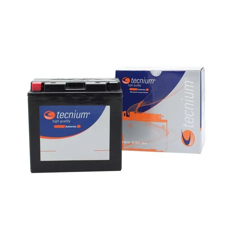 Motorradbatterie Tecnium Kymco People 125 S / MBK Evolis 250 ABS / MBK Evolis 125 / MBK Evolis 125 ABS