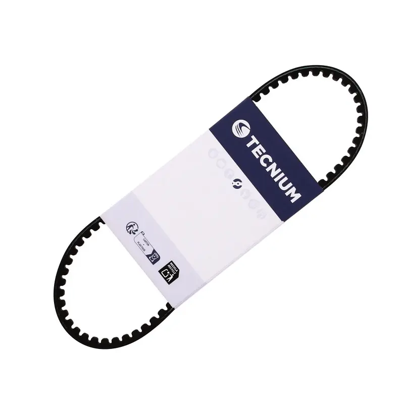 Motorriem Tecnium Cagiva City 50 / Gilera Easy Moving 50 / Piaggio Sfera 50 (NSL1T)