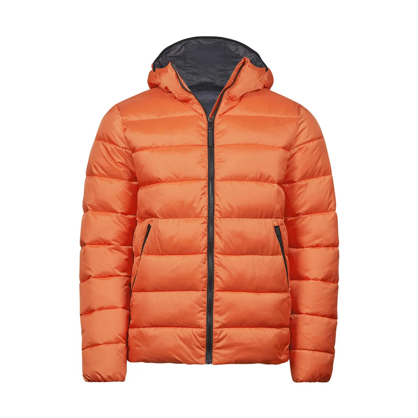 5712540077125 - Daunenjacke  mit Kapuze Lite