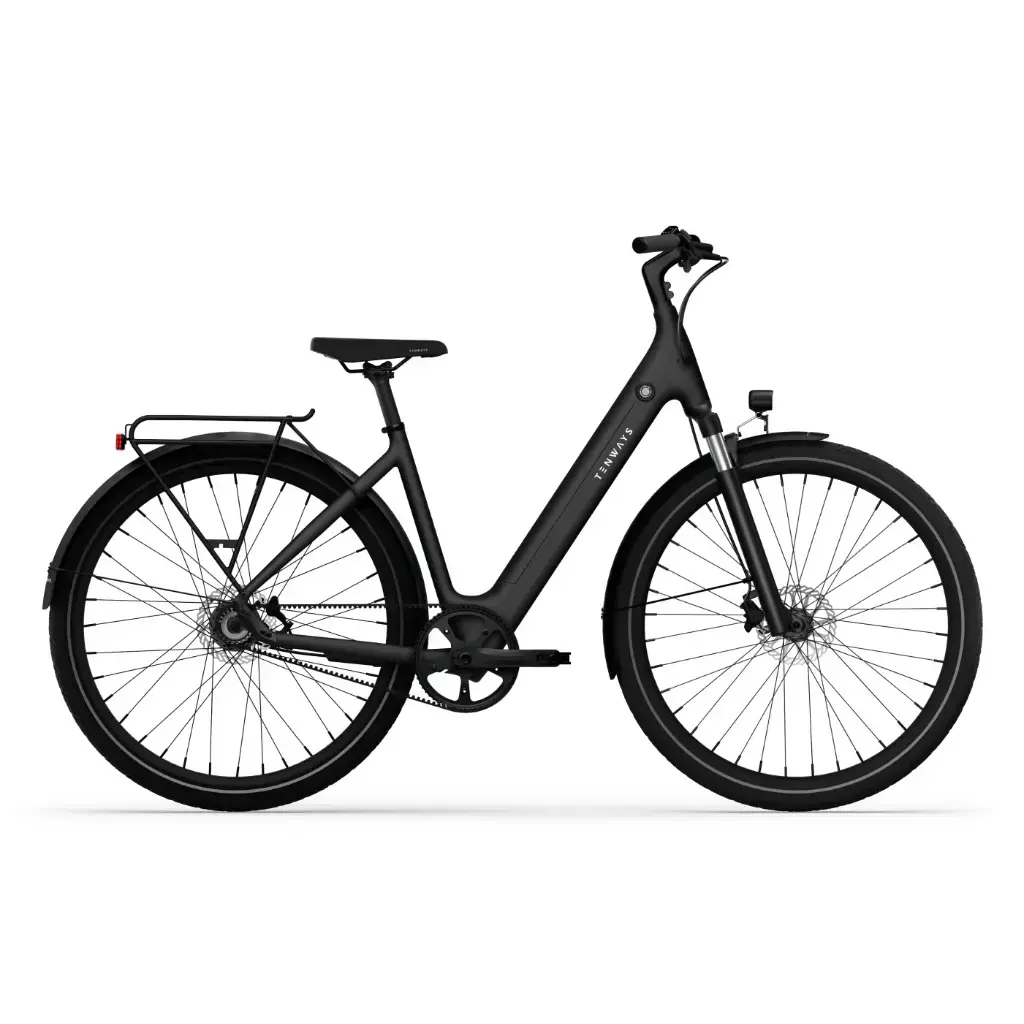 Image of Elektrofahrrad Tenways CGO800S