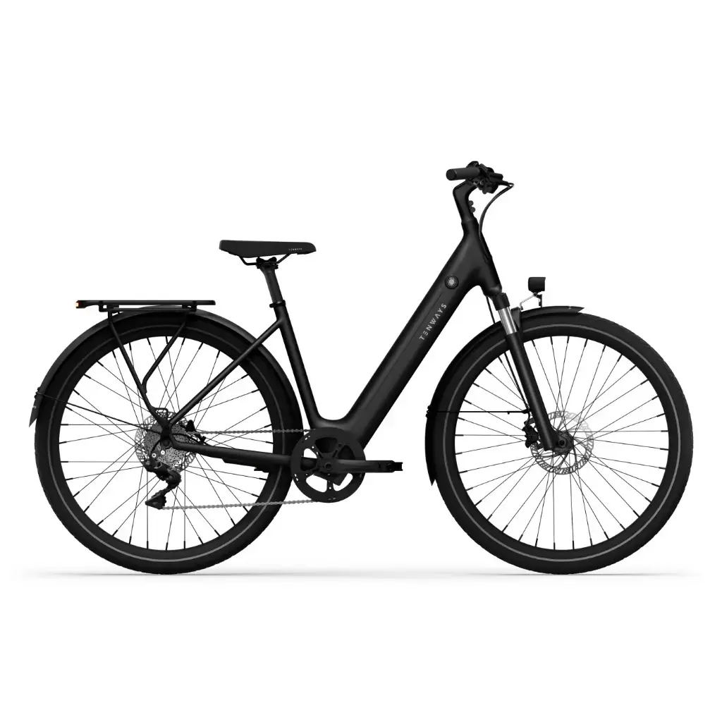 Image of Elektrofahrrad Tenways CGO800 Plus