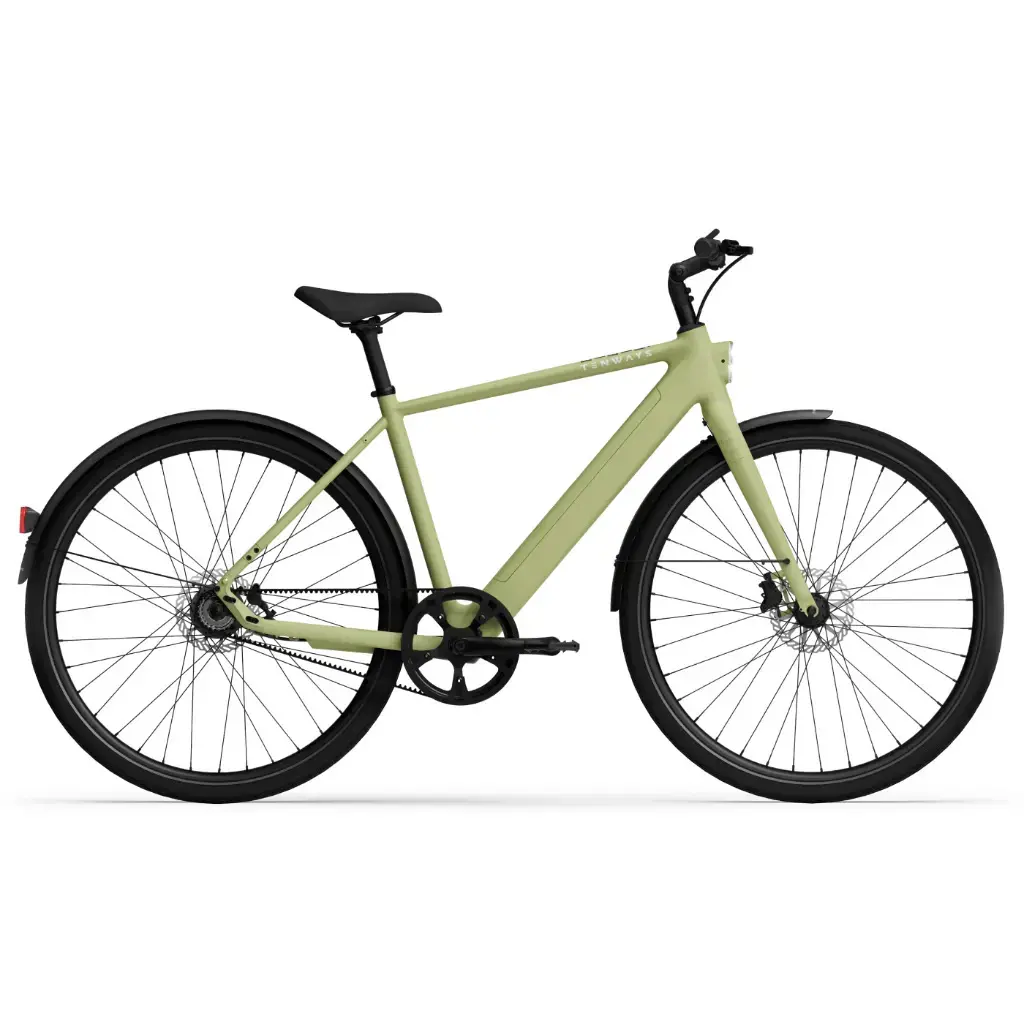 Image of Elektrofahrrad Tenways CGO600 Pro