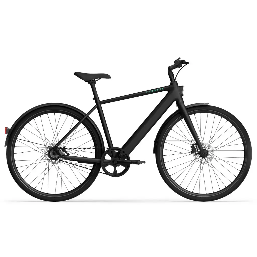 Elektrofahrrad Tenways CGO600 Pro
