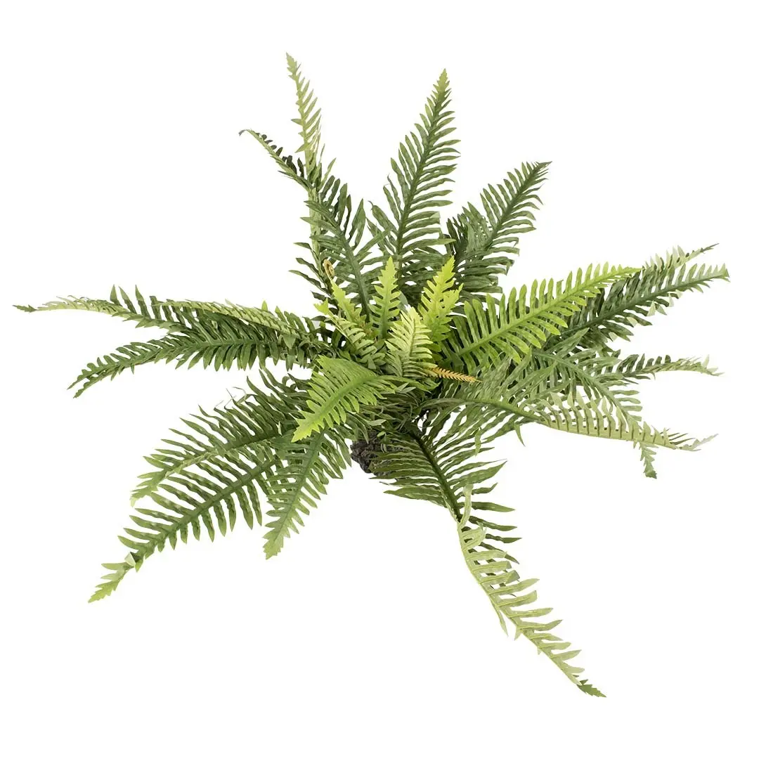 Terra Della Vert Indoor Terrarium Plant