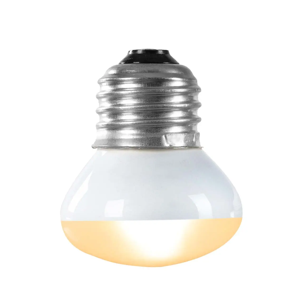 Ampoule pour lézarder Terra Della