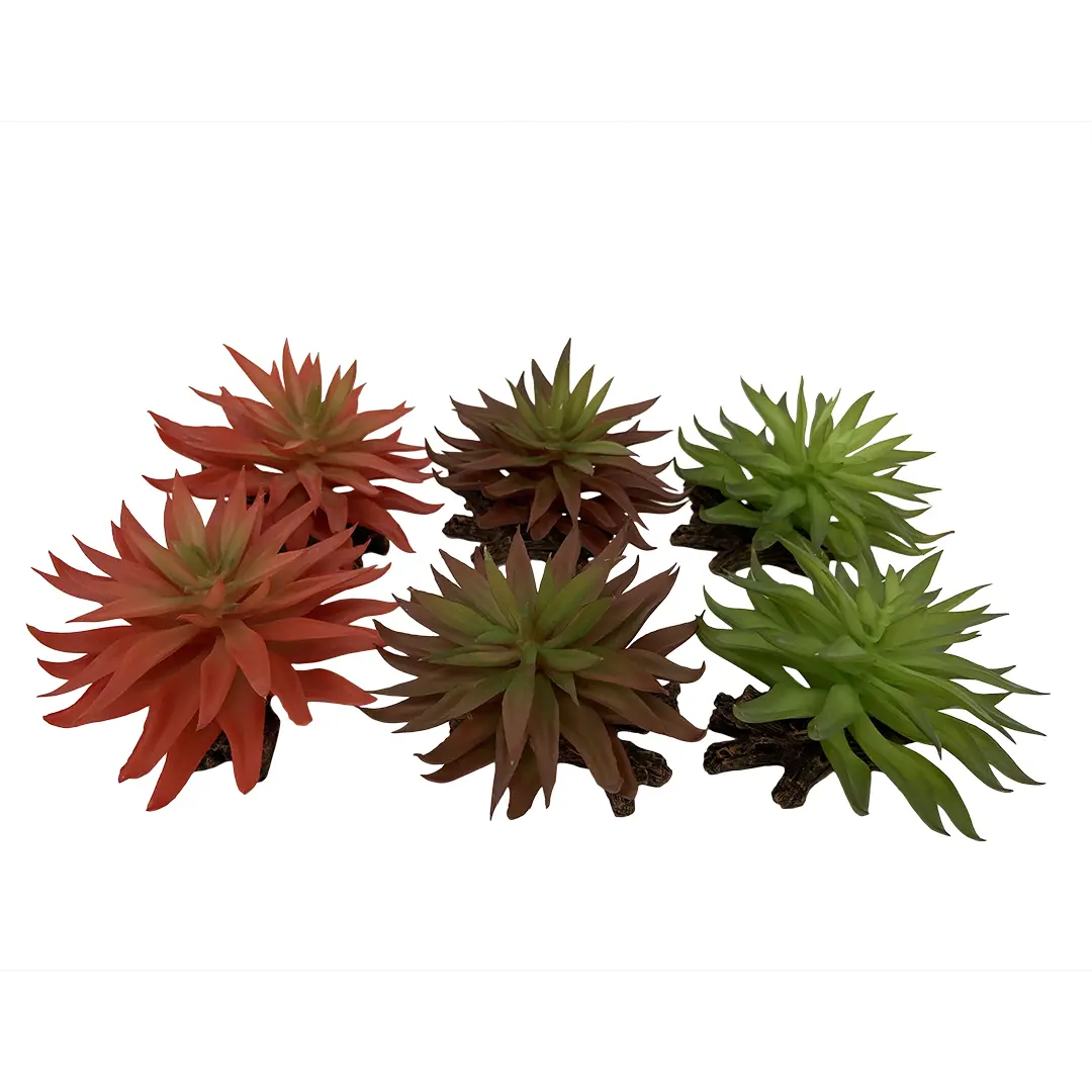 4047059465882 - Aquariumdekoration Sedum
