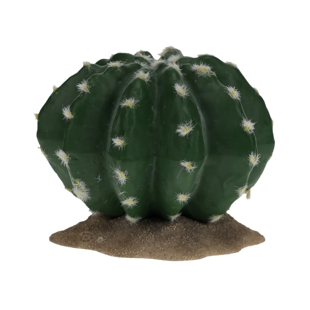 4047059482698 - Terrarium-Zubehör Echinocactus